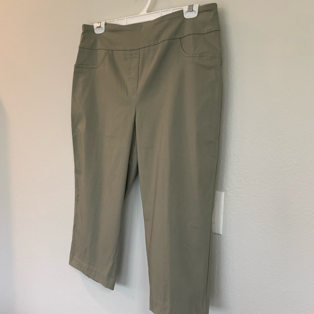 NWT Lark Lane stretchy sage capris 16.